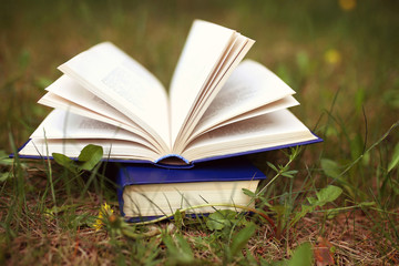 Open books outdoor. Books in the woods