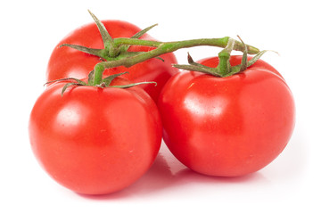 branch of three tomatoes isolated on white background