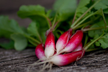 Fresh radishes on old wooden table.