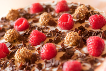 Fruchtige Torte mit Himbeeren, Schokoraspeln und Haselnusssplitter, Fokus auf Himbeere