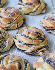 Baked poppy seed buns closeup
