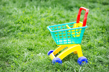 toy truck  on the grass