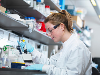 Scientist using multi-channel pipette to fill multiwell plate for analysis of antibodies by ELISA assay, Jenner Institute, Oxford University