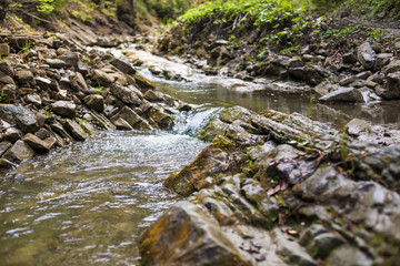 Fototapeta premium Mountain river flowing through the green forest