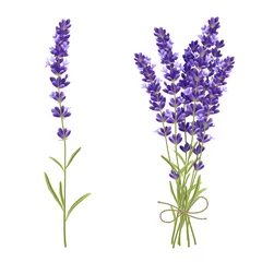 Glasschilderij Lavendel Lavendel snijbloemen realistisch beeld