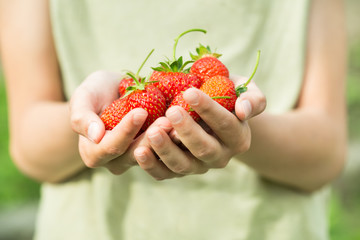 hands with fresh strawberries