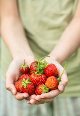 hands with fresh strawberries