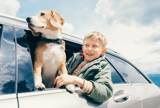 Boy and dog look out from car window