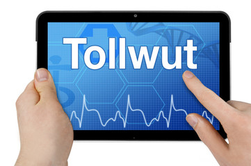 Tablet mit Touchscreen und Interface mit Tollwut