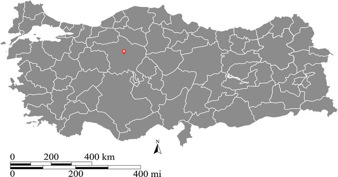 Turkey map vector outline with scales of miles and kilometers and capital location, Ankara, in gray background