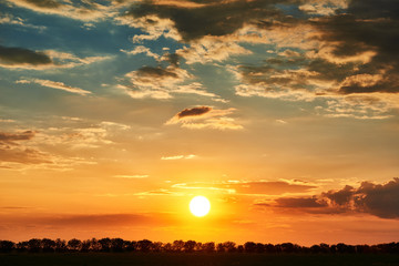 sunset, bright colorful sky and clouds as background, tree silhouette