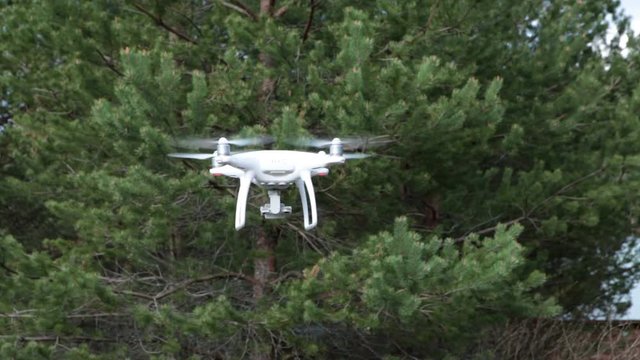 Quadrocopter hovering over land and flying against evergreen pines