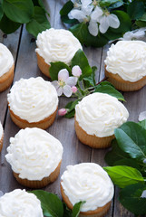 Cupcakes with butter cream and spring white flowers