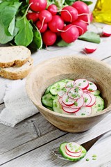 Easy spring salad form fresh cucumber and radish with green onion.Selective focus