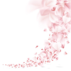 Sakura flying petals. EPS 10