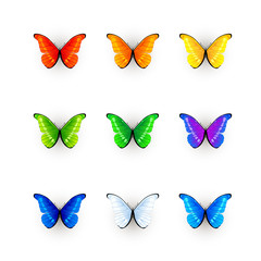 Set of multicolored butterflies