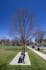 Benches at Flood's HIll