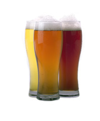 beer isolated