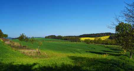 Green landscape in south of Bohemia