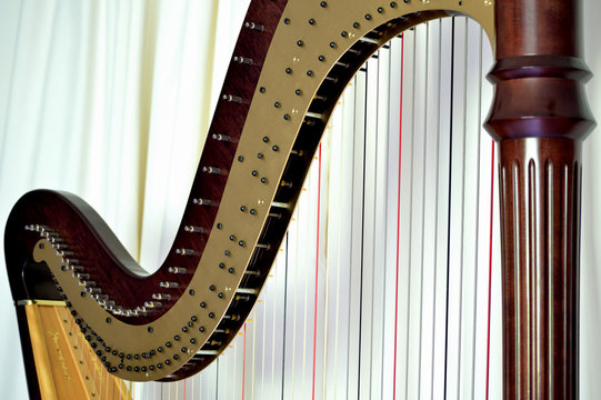 Pedal harp closeup