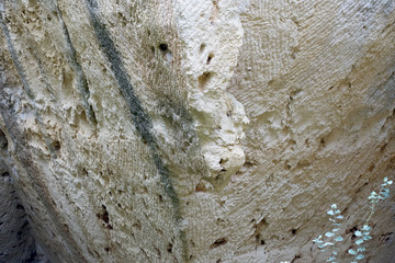 Carrière de Bibemus