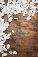 White petals on wooden background