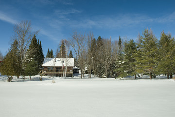Fototapeta na wymiar traditional countryside house in winter