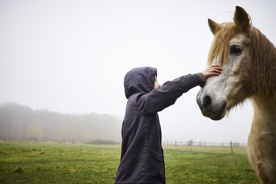 Boy stroking horse in field