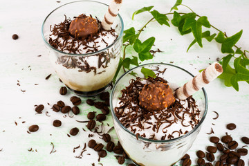 Creamy Chocolate cocktail in glasses