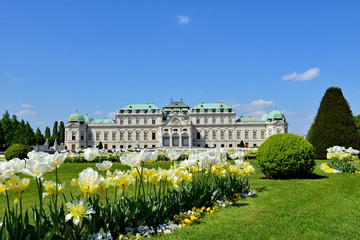 Wien Schloss Belvedere, Park im Frühling mit Tulpen