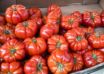 Red heirloom tomatoes in market in Paris, France