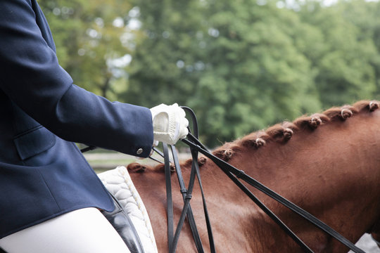 Horse And Rider In Dressage Event