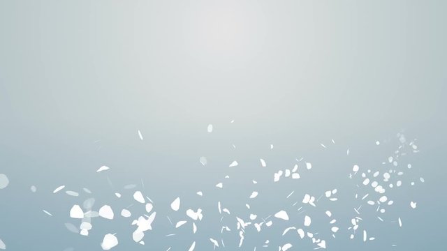 Whirling White rose petal