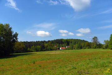 Fototapeta premium Green landscape near Kokorin castle