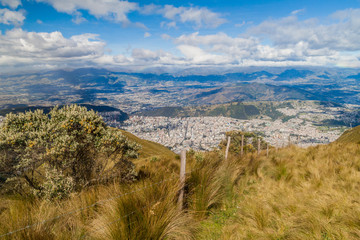 Fototapeta na wymiar Quito, capital of Ecuador, as viewed from lookout Cruz Loma.