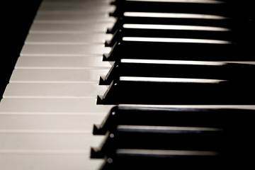 Naklejka premium Beautiful new baby grand piano keyboard, ready to be played.