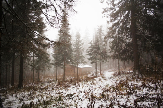 Sarsy Bilder Durchsuchen 117 Archivfotos, und Videos