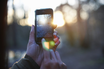 Hands of woman photographing forest on smartphone