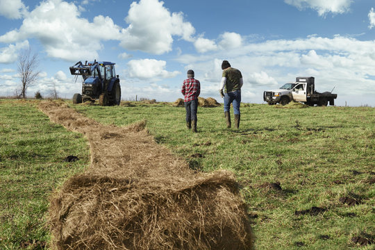 Mature farmer and son with unrolled hay stack in dairy farm field