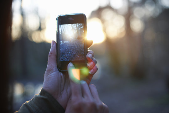 Hands of woman photographing forest on smartphone - Powered by Adobe