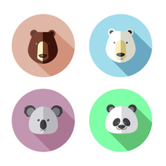 Icon design face of bear animal
