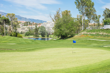 Fototapeta premium Golf course landscape with flag.