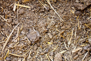 Cow manure texture background
