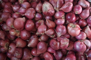 group of red onion