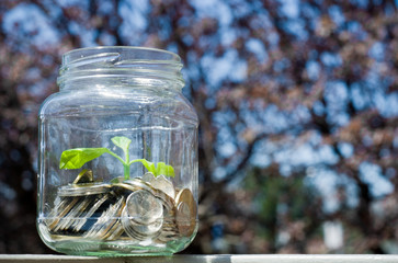 savings jar