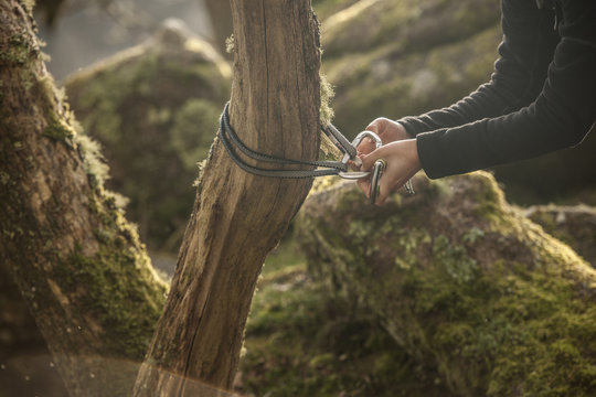 Woman attaching carabiner and rope to tree trunk