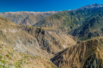 Canyon Colca - second deepest canyon in the World, Peru