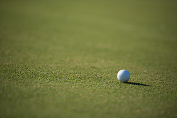 golf ball on grass