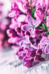 Naklejka na ściany i meble Lilac. Purple Lilac. bouquet of purple lilacs. bouquet of purple lilac and antique scissors. Toned Photo