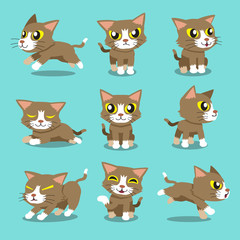 Fototapeta premium Cartoon character cat poses